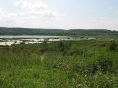 Михалевское озеро